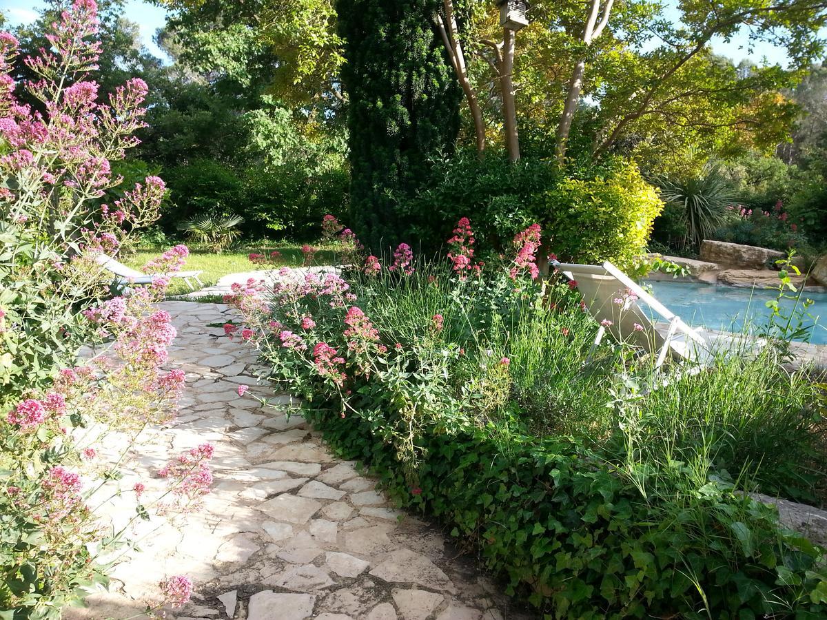 La Bousquatiere Bed & Breakfast Piolenc Ngoại thất bức ảnh